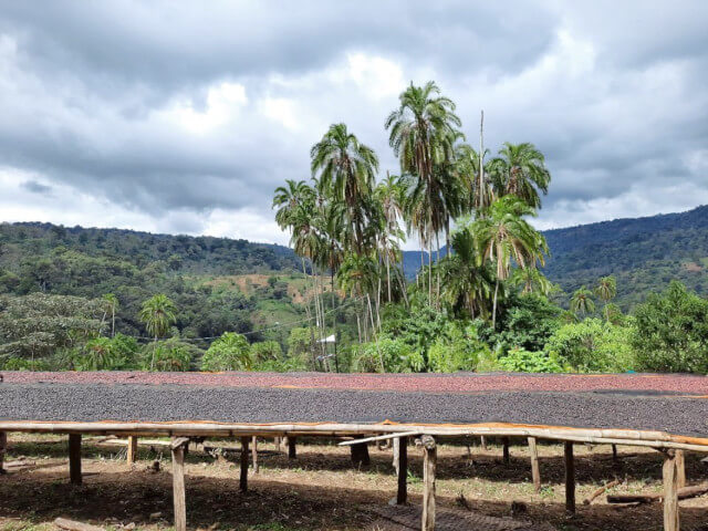 Ethiopia Anasora Anaerobic Natural