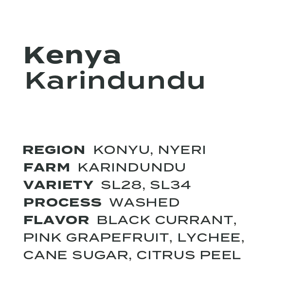 Kenya Karindundu SL28 SL34 Washed