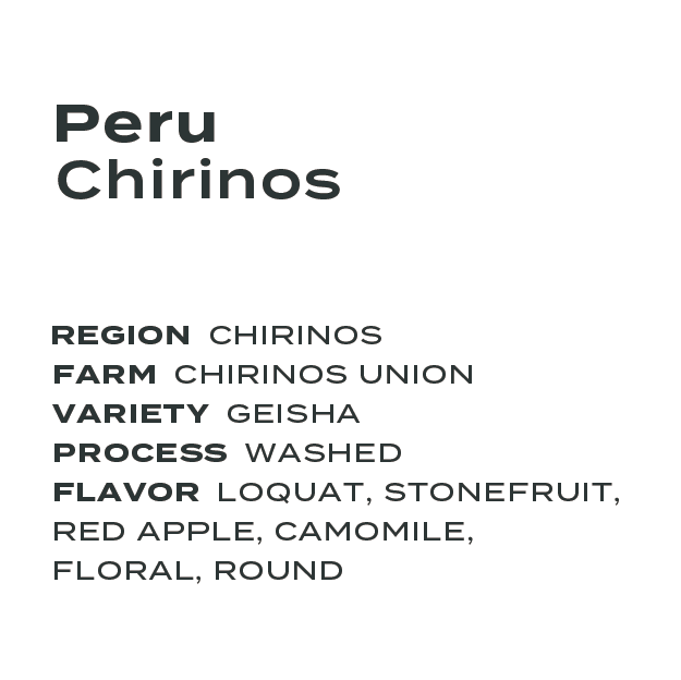 Peru Chirinos Geisha Washed
