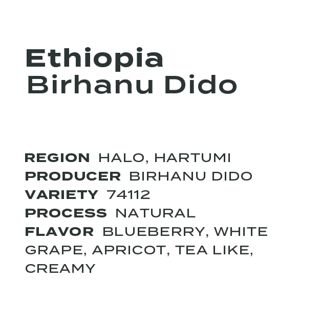 Ethiopia Birhanu Dido Natural