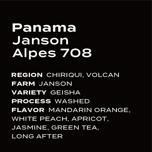 Panama Janson Alpes Washed 708