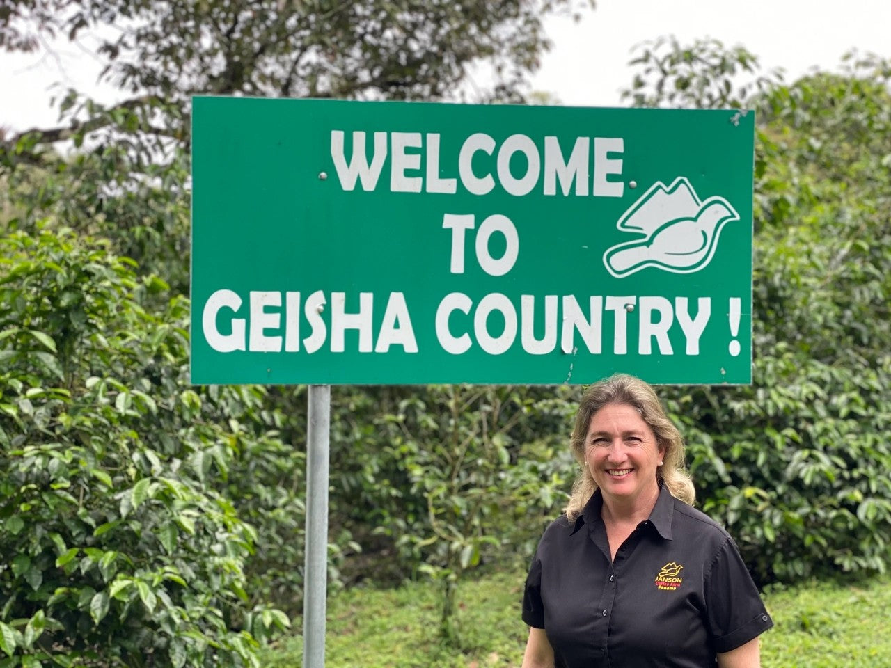 Panama Janson Alpes Washed 708