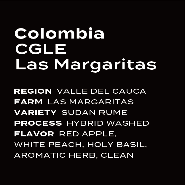 Colombia Las Margaritas Sudan Rume Hybrid Washed