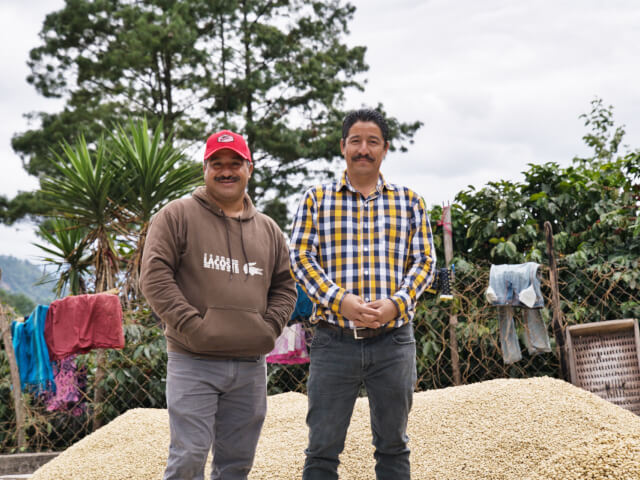 Guatemala Granito de Oro COE #3