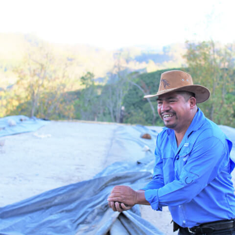 Honduras El Roblar Natural