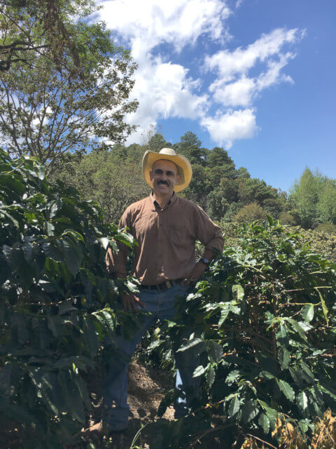 Honduras Los Pinos Typica Honey