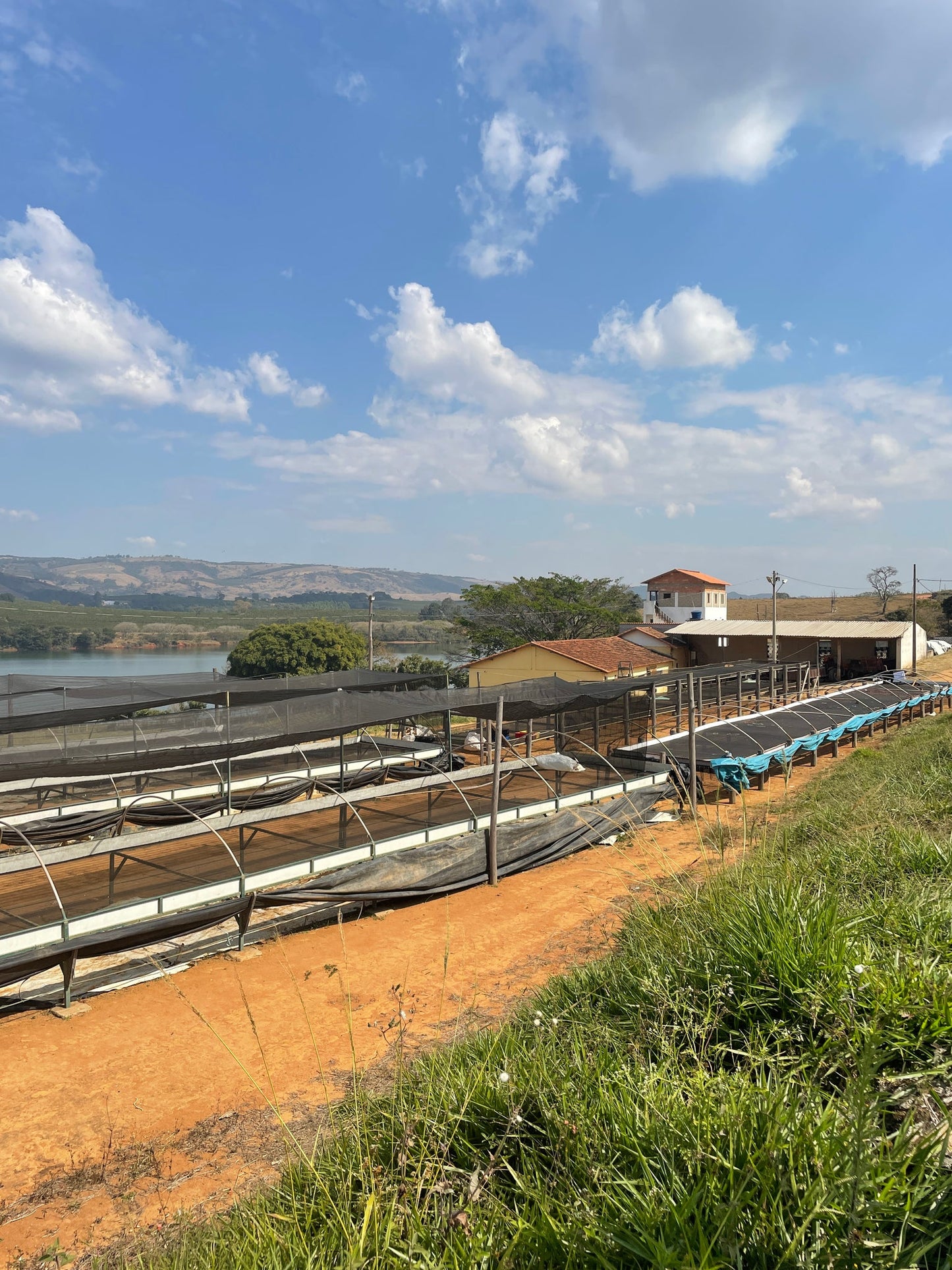 Brasilien Fazenda UM Mundo Novo Natural