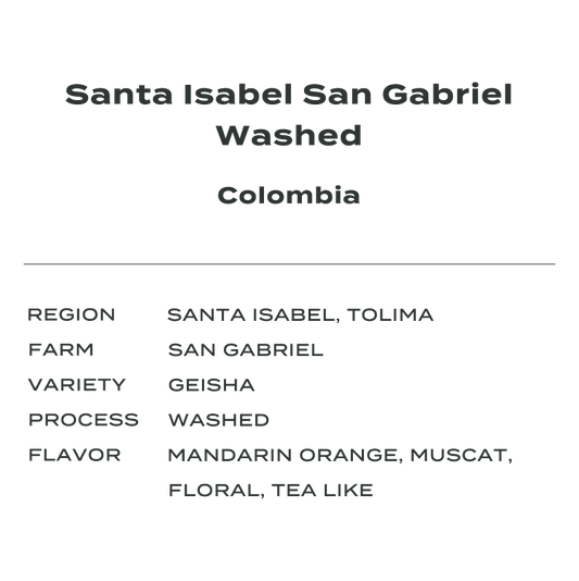 Colombia San Gabriel Geisha Washed