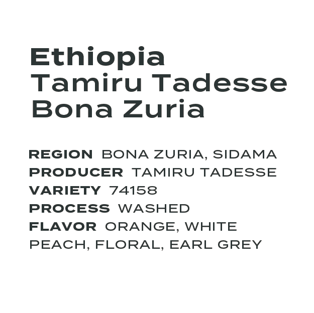 Ethiopia Tamiru Tadesse Bona Zuria Washed
