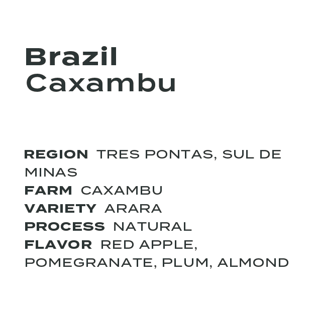 Brazil Caxambu Arara Natural