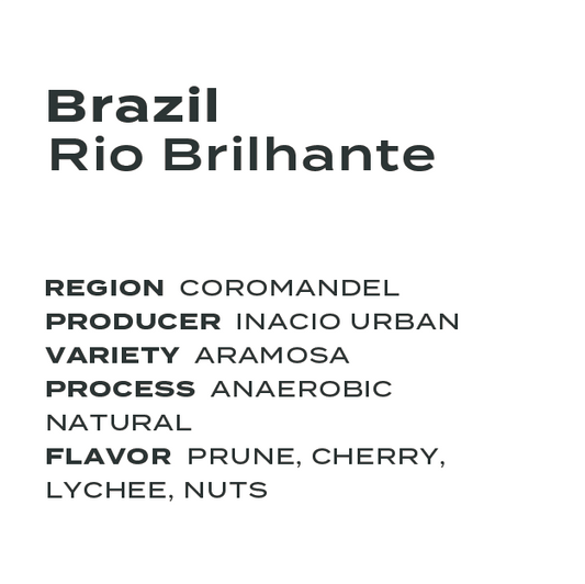 Brazil Rio Brilhante Aramosa Anaerobic Natural