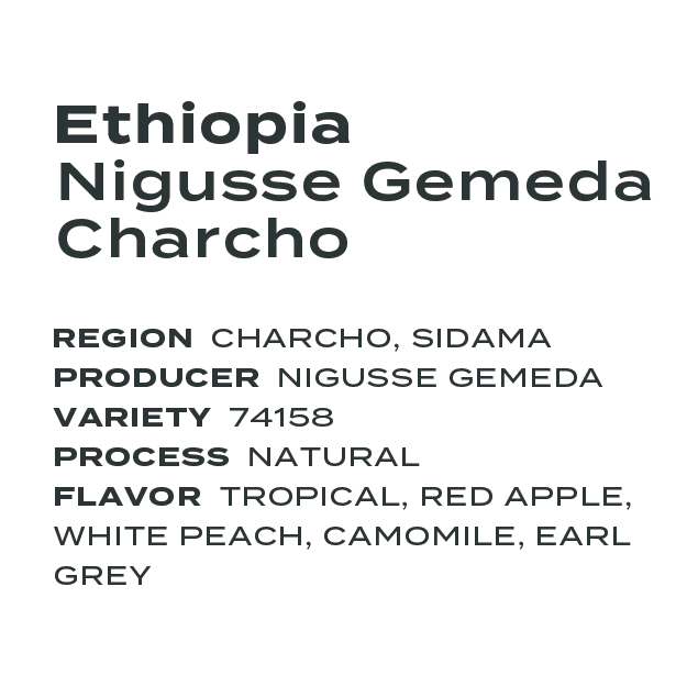 Ethiopia Nigusse Gemeda Charcho Natural