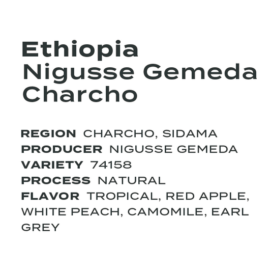 Ethiopia Nigusse Gemeda Charcho Natural