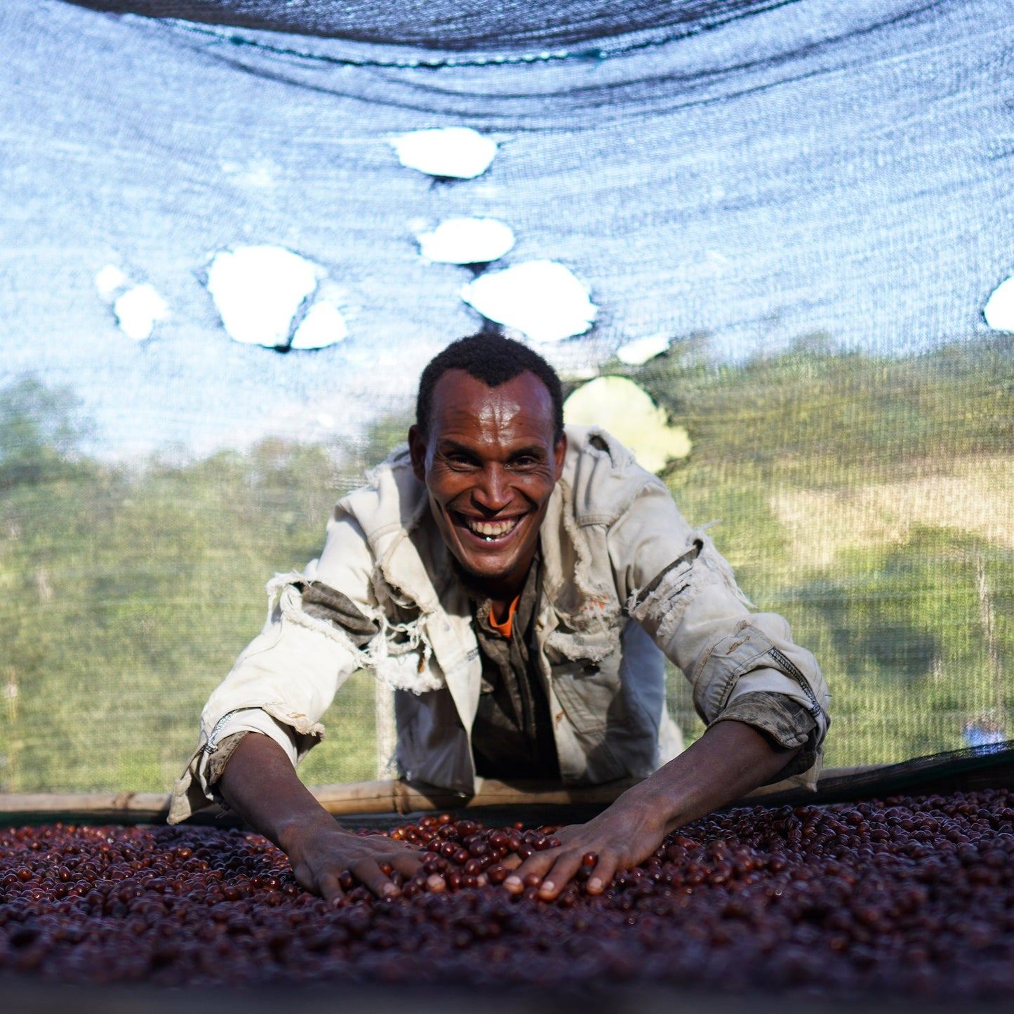 Ethiopia Hamasho 74158 Natural