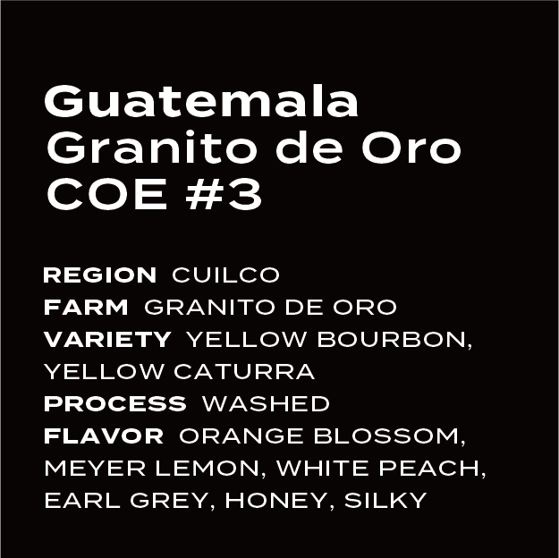 Guatemala Granito de Oro COE #3