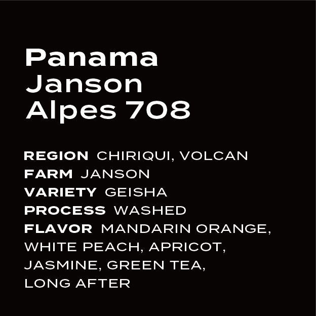 Panama Janson Alpes Washed 708