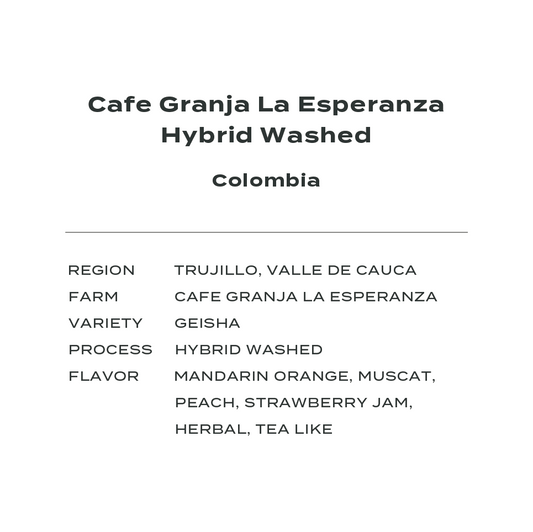 Colombia La Esperanza Geisha Hybrid Washed