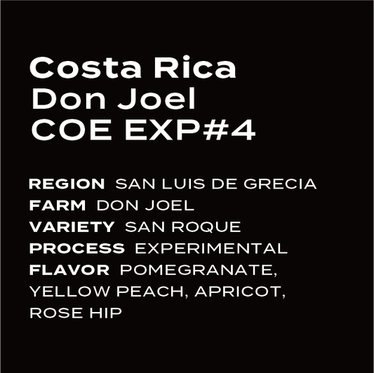 Costa Rica Don Joel COE2025 EXP#4