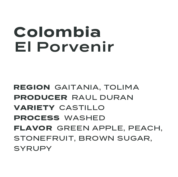 Colombia El Porvenir Castillo Washed
