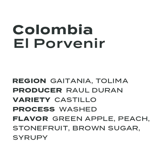 Colombia El Porvenir Castillo Washed