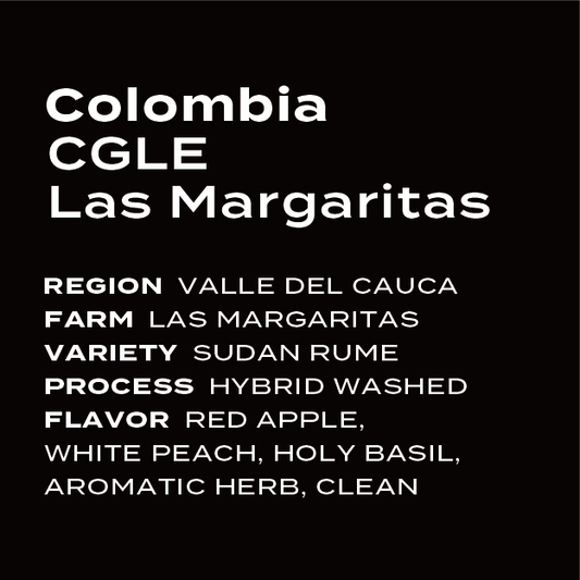 Colombia Las Margaritas Sudan Rume Hybrid Washed